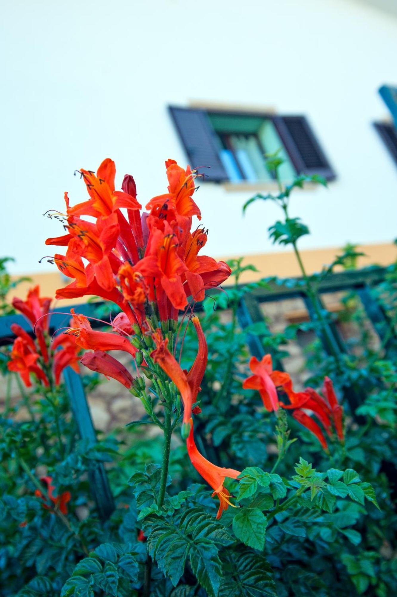 Aparthotel Casale La Zagara Sciacca Exterior foto