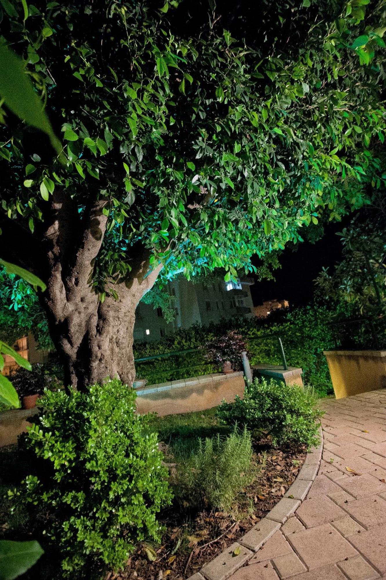 Aparthotel Casale La Zagara Sciacca Habitación foto